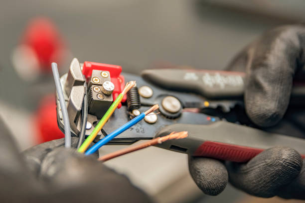 Best Local Electrician Companies  in Trinity, FL
