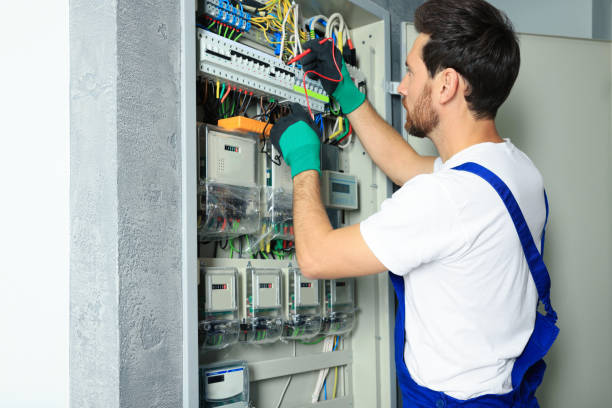 Best Electric Panel Repair  in Trinity, FL